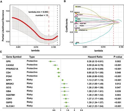 Correlation of endoplasmic reticulum stress patterns with the immune microenvironment in hepatocellular carcinoma: a prognostic signature analysis